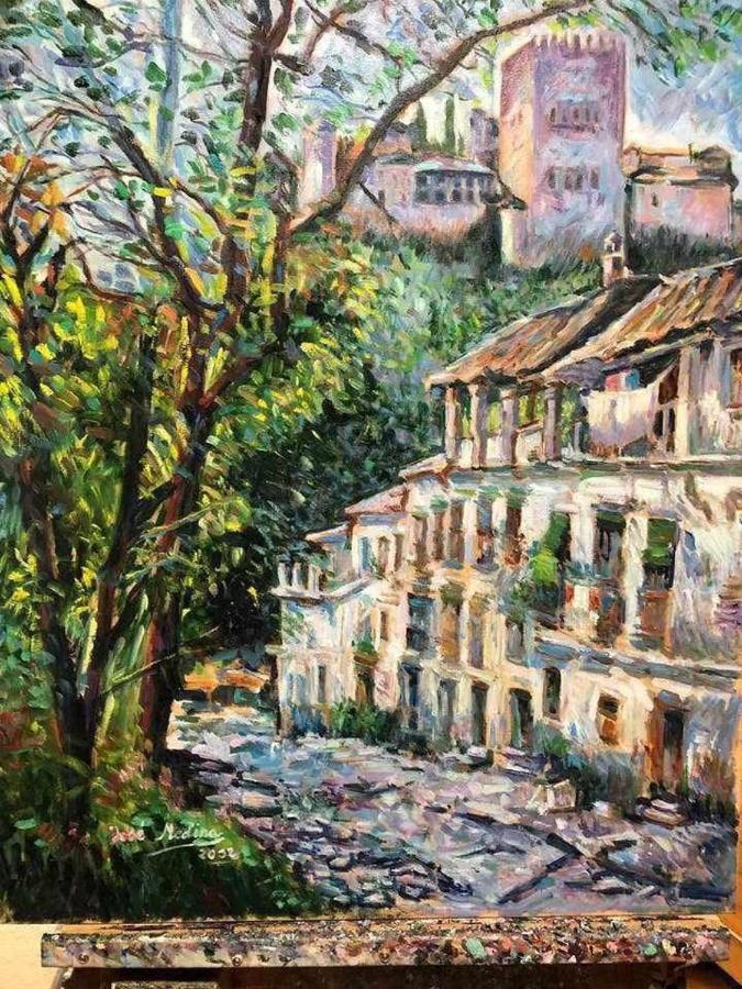 Apartamento Para Dos Al Lado De La Alhambra, En Pleno Centro Granada Esterno foto